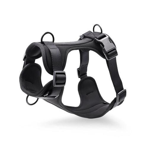 Harness