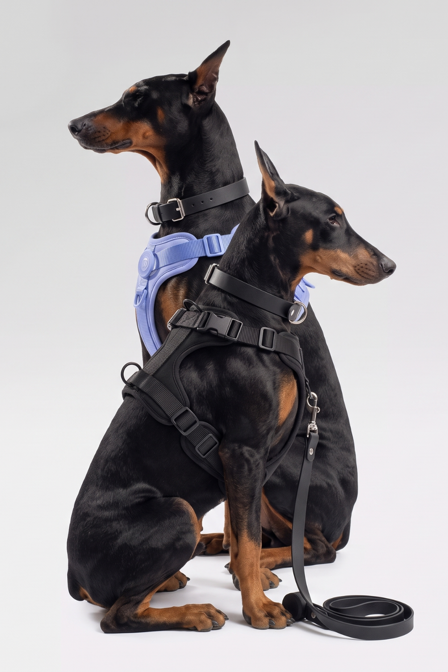 Harnesses
