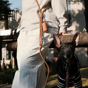 Hands-Free Nylon Rope Dog Lead, Crossbody Adjustable Leash