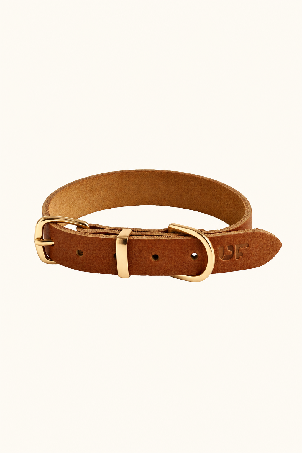 Leather dog collar with gold buckle in Tan