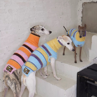 Christmas is a Rainbow Sweater in pink — jumper for dogs