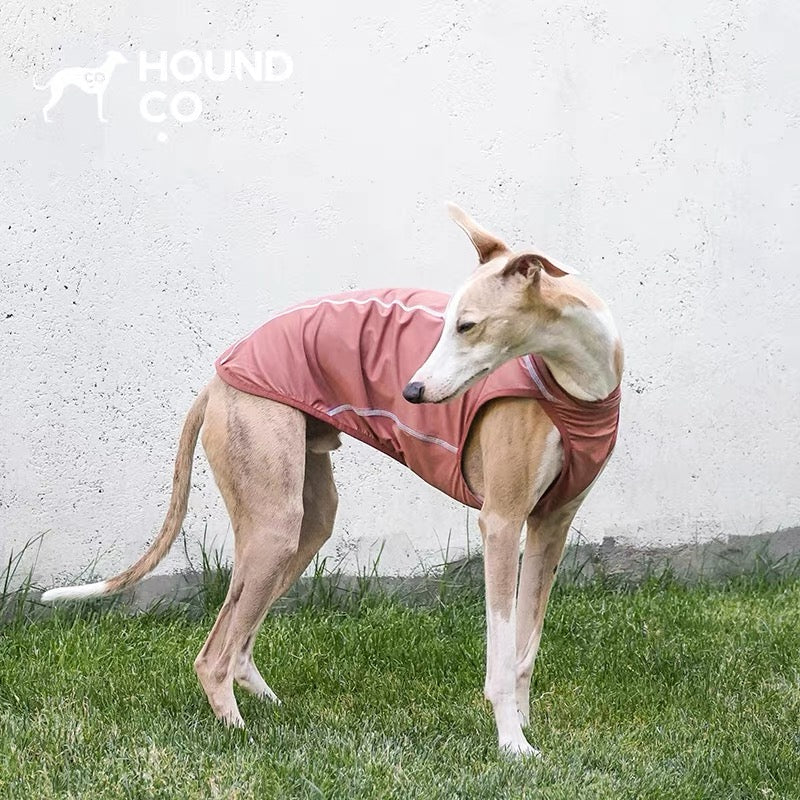 Summit Breeze Cooling Vest gilet for dogs