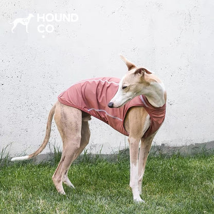 Summit Breeze Cooling Vest gilet for dogs