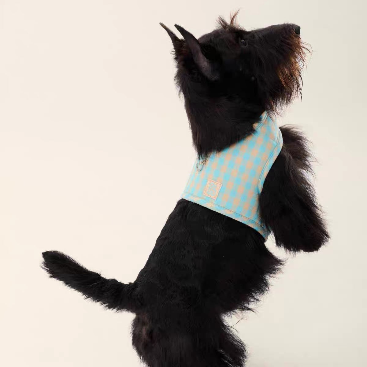 CloudFit Plaid Sponge Harness harness for dogs