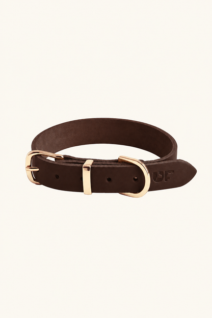 Leather dog collar with gold buckle in Dark Brown