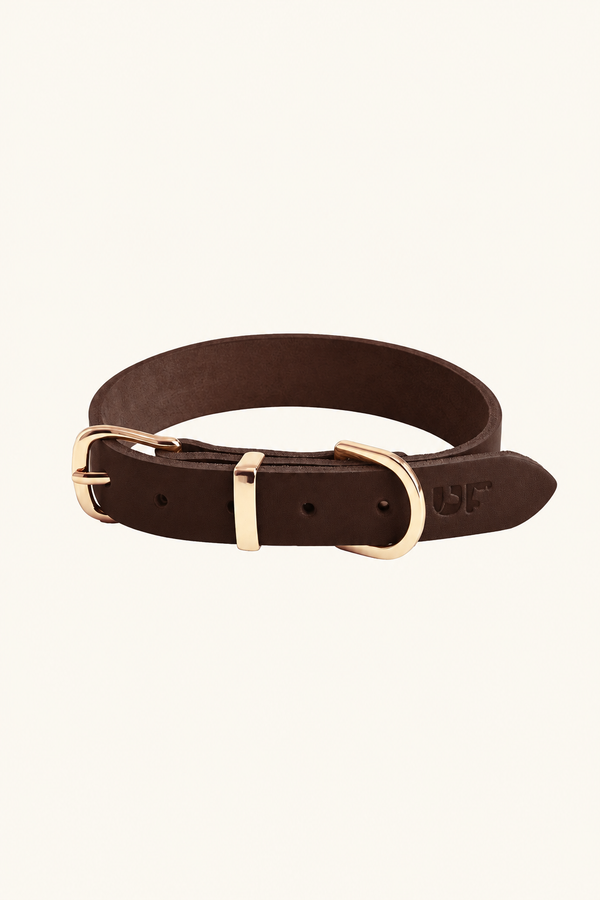 Leather Dog Collar with Gold Buckle – Small & Medium Dogs, Brown, Tan or Green