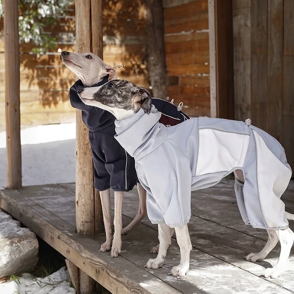 Everyday Love Weather-Resistant Onesie for Dogs