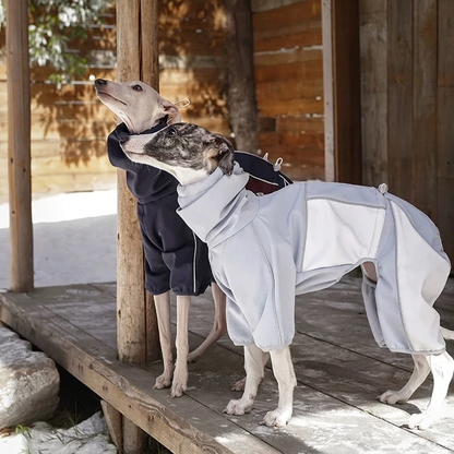 Everyday Love Weather-Resistant Onesie for Dogs