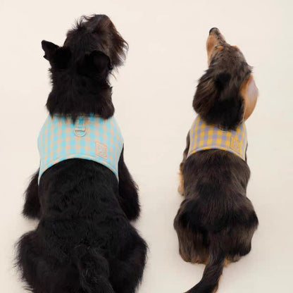 CloudFit Plaid Sponge Harness harness for dogs