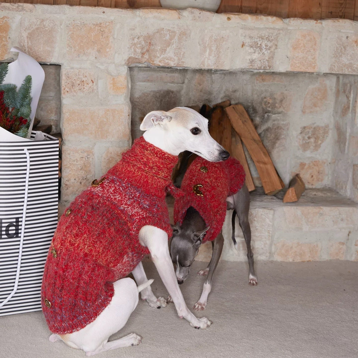 All I Want Is This Christmas Pup Sweater in red — jumper for dogs