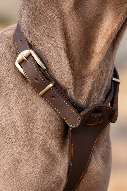 Vest-style leather dog harness – view 5