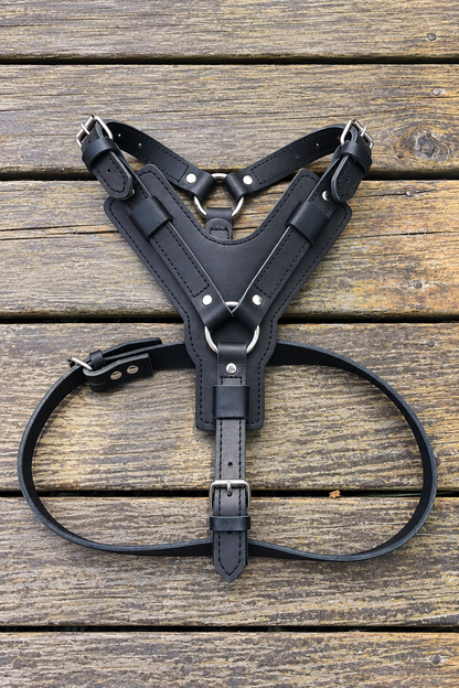 Heavy-duty leather dog harness in Black
