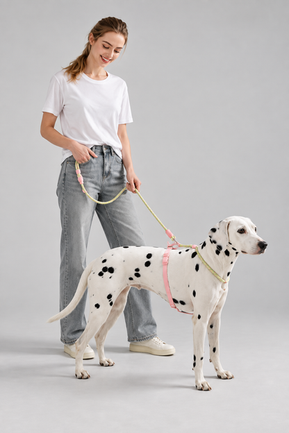 Wipe-clean PVC dog lead – view 5