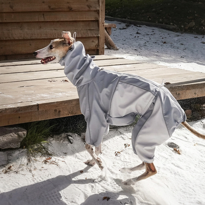 Everyday Love Weather-Resistant Onesie for Dogs