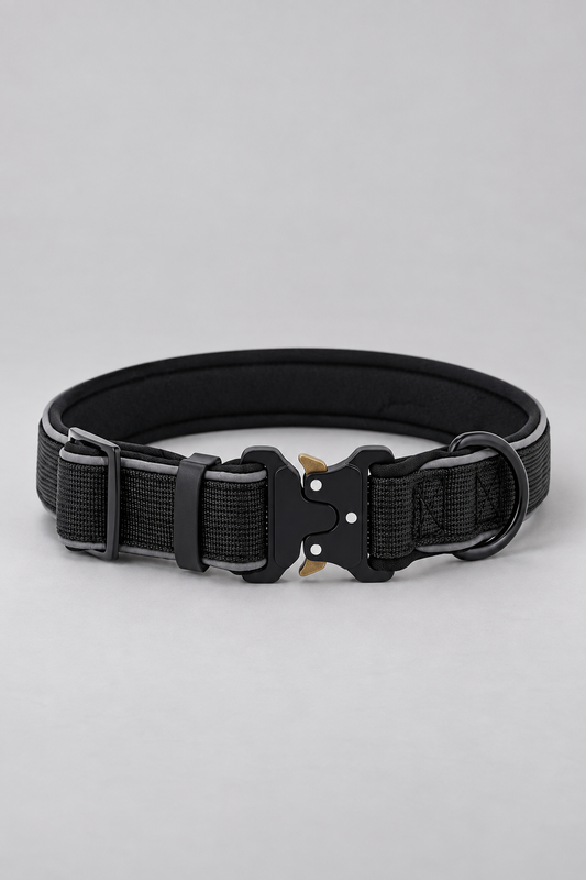 Padded reflective dog collar in Black