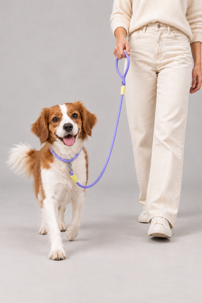 Small dog rope slip lead – view 4