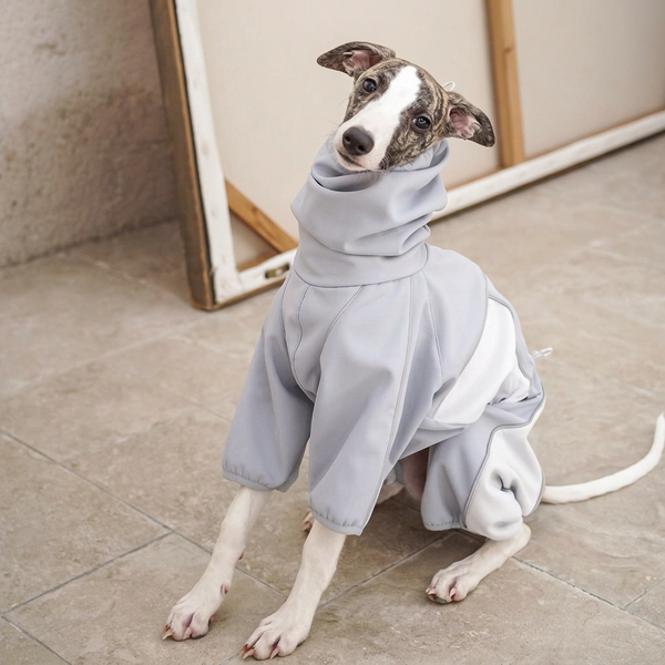 Everyday Love Weather-Resistant Onesie for Dogs