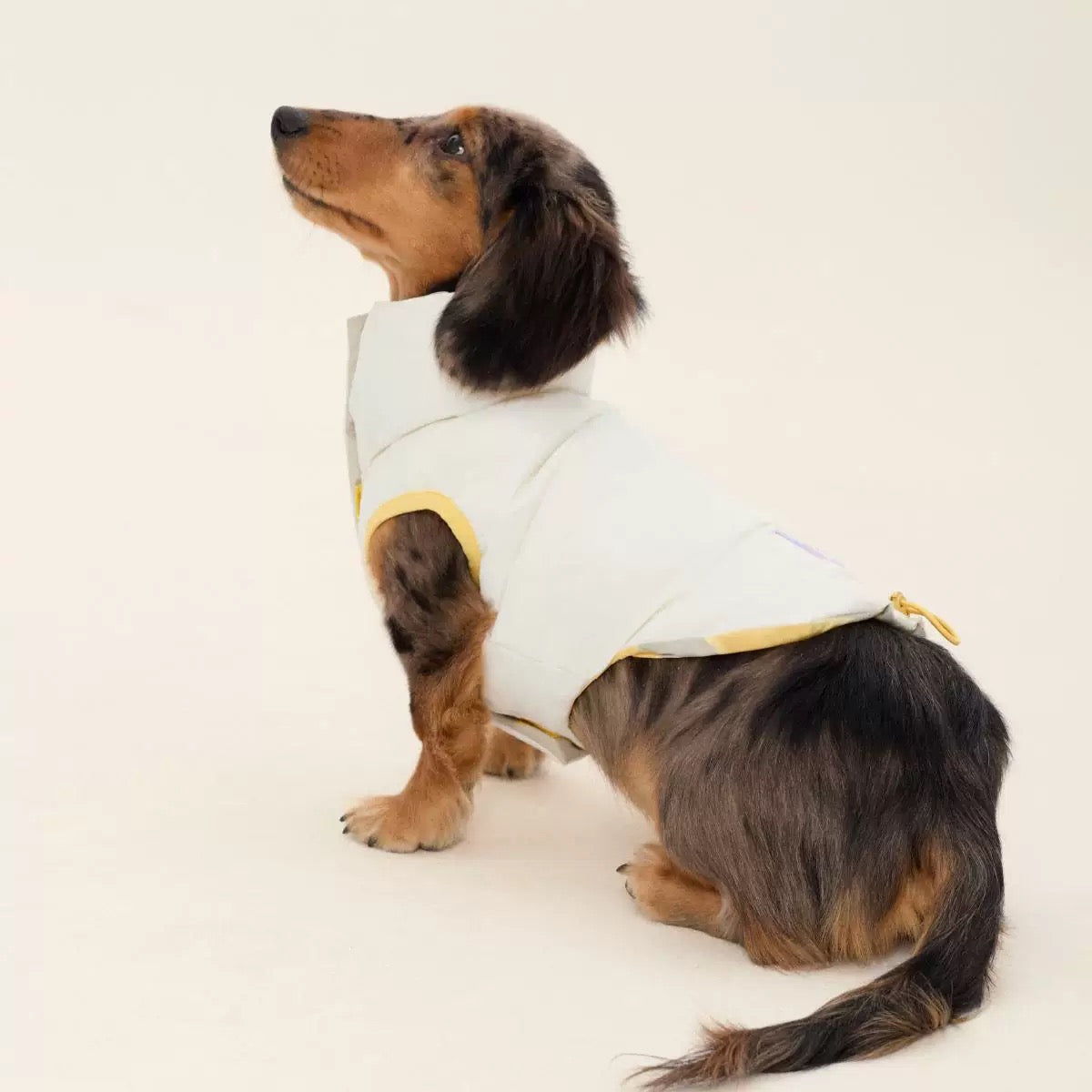 Contrasting Stripe Reversible Cotton Vest gilet for dogs