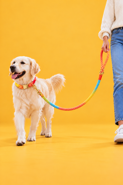 Handmade rope dog collar and lead – view 2