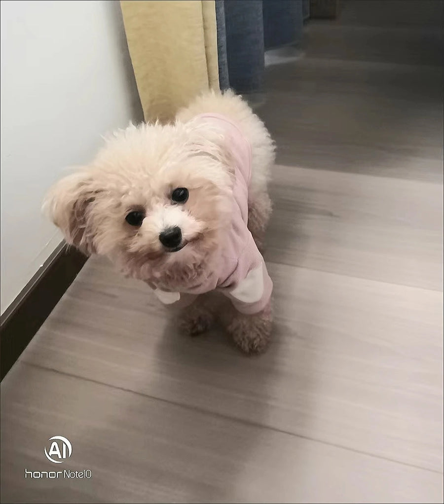Heart Dog Hoodie – Simple Autumn Hoodie for Small Dogs and Cats, Toy Poodle, Bichon and Yorkie, XS to XL