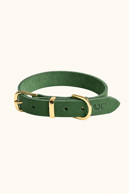 Leather dog collar with gold buckle in Green
