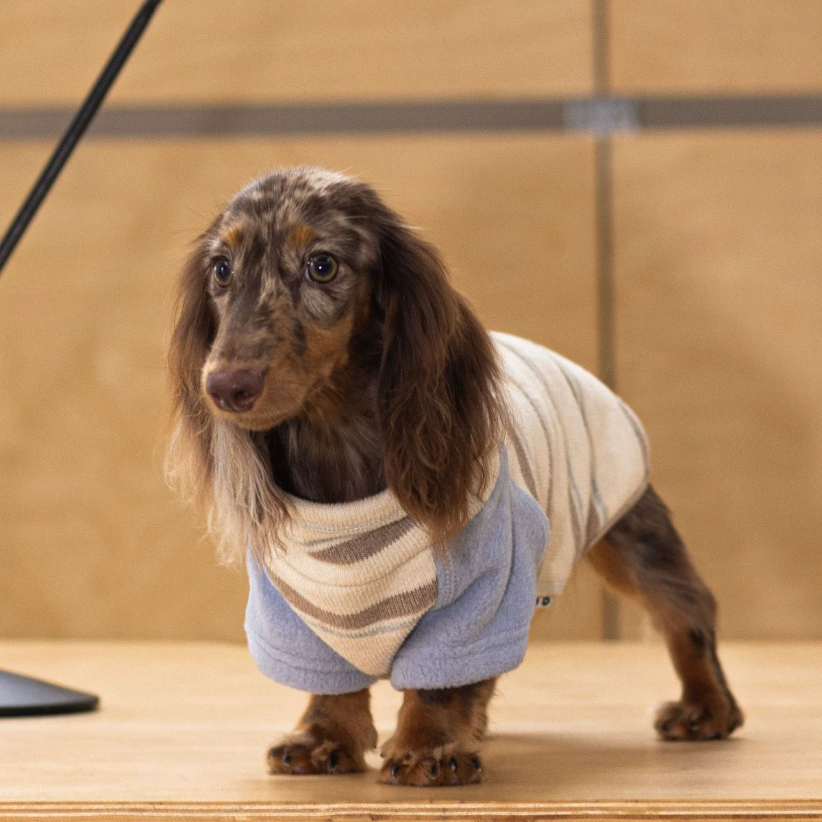 Honey Cotton Two-legged jumper for dogs