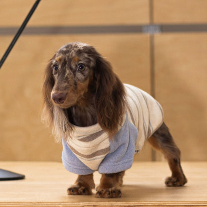 Honey Cotton Two-legged jumper for dogs