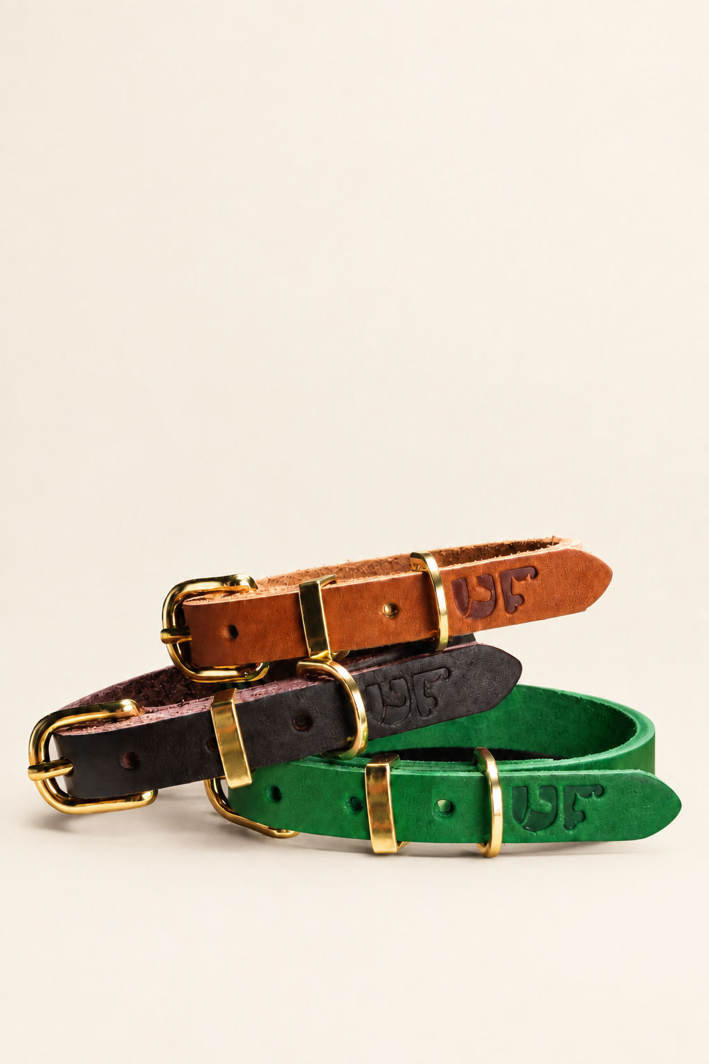 Leather dog collar with gold buckle – view 3