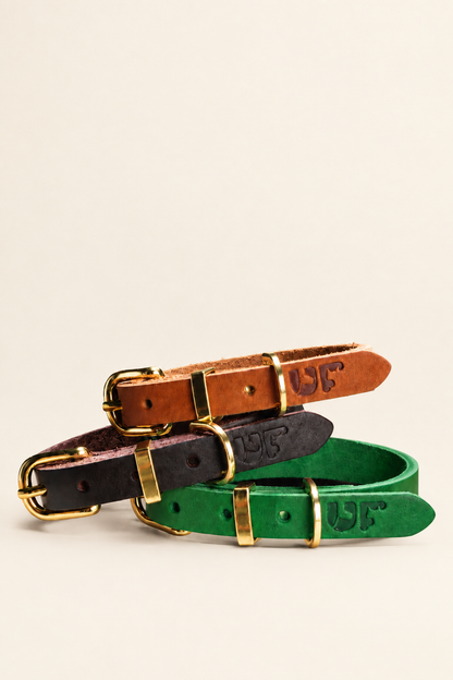 Leather dog collar with gold buckle – view 3