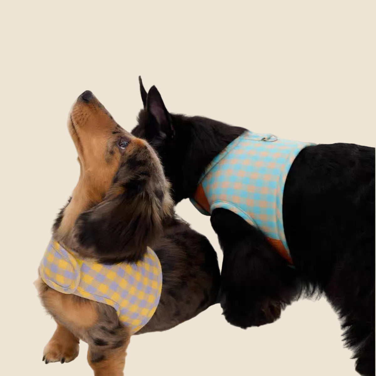 CloudFit Plaid Sponge Harness in green — harness for dogs