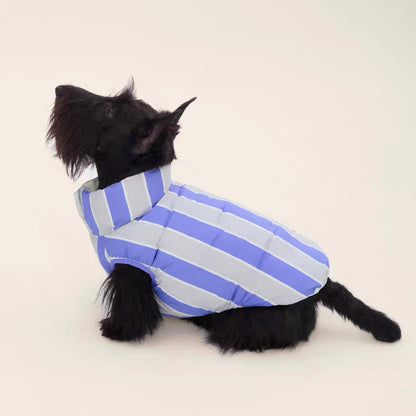 Contrasting Stripe Reversible Cotton Vest gilet for dogs