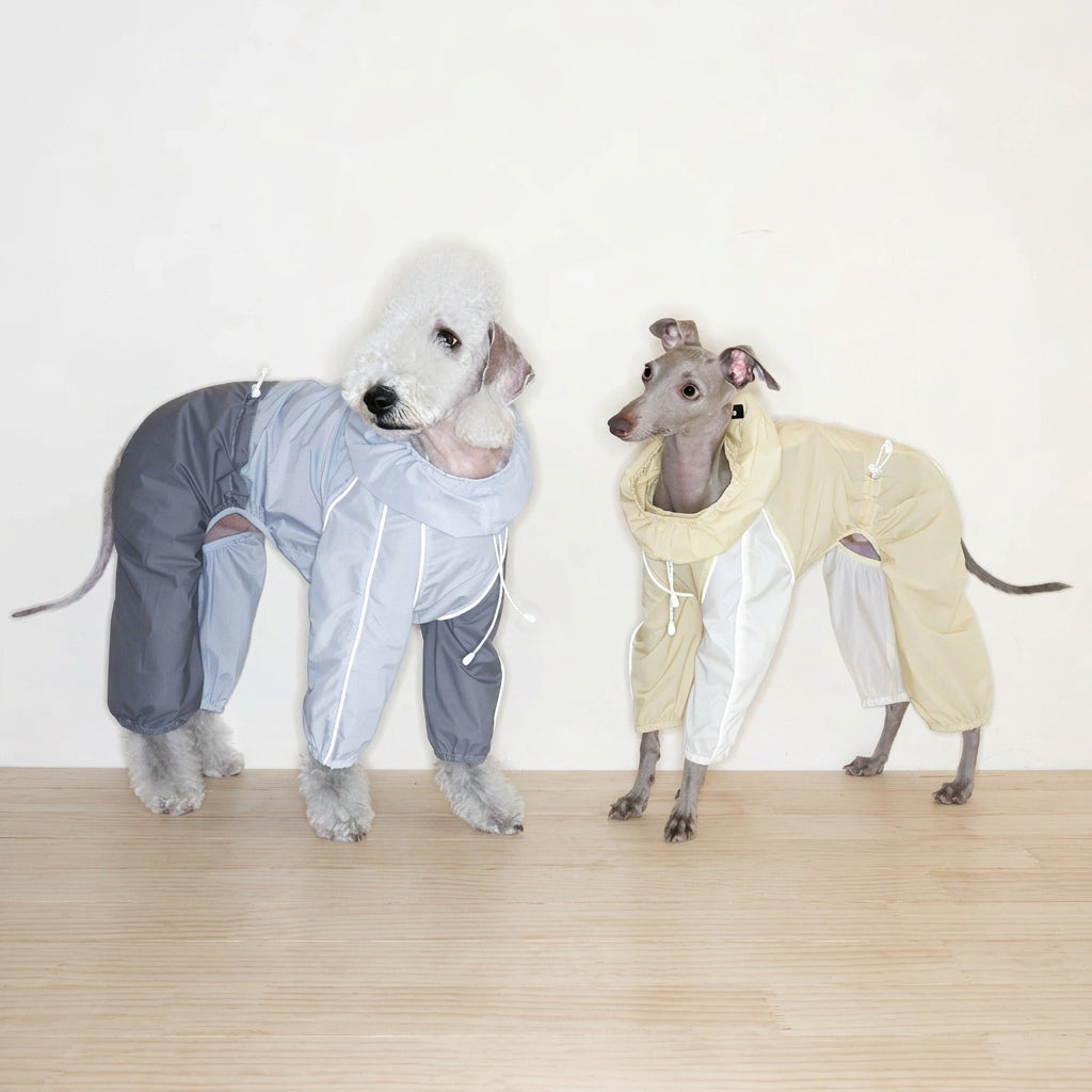 Lightweight Rain Suit raincoat for dogs
