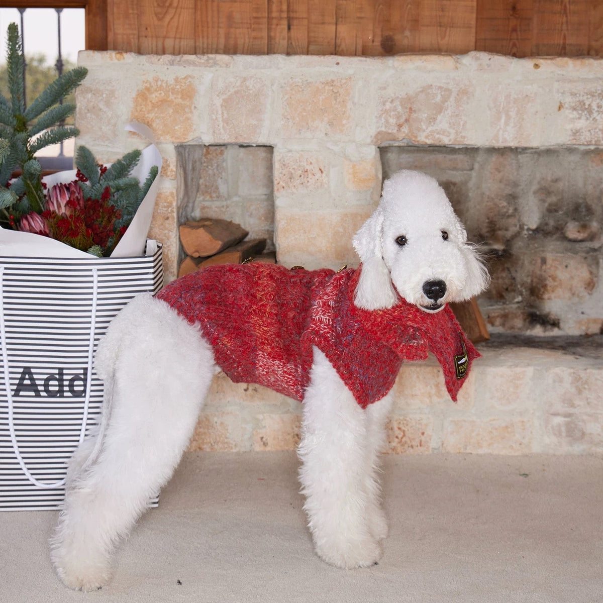 All I Want Is This Christmas Pup Sweater jumper for dogs