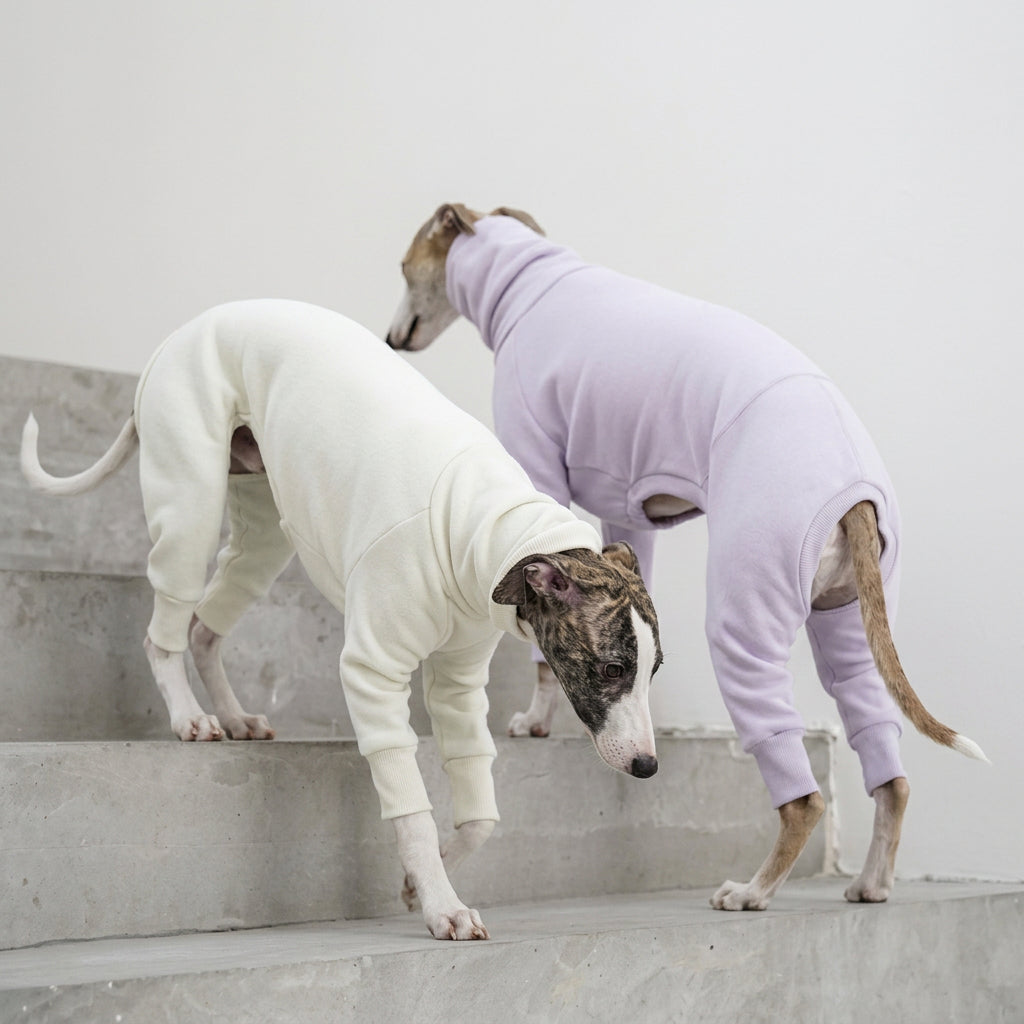 Soft Touch Classic Four-Leg Knit jumper for dogs