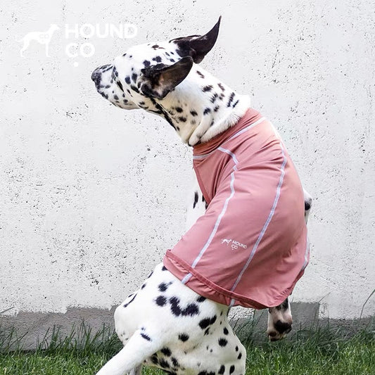 Summit Breeze Cooling Vest in pink — gilet for dogs