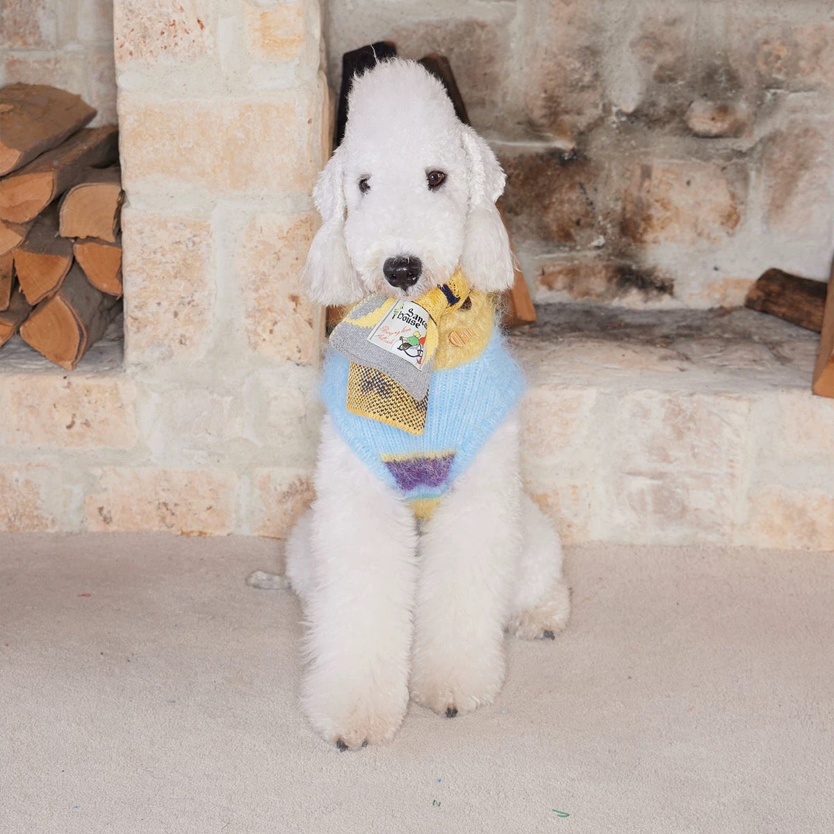 Christmas is a Rainbow Sweater jumper for dogs