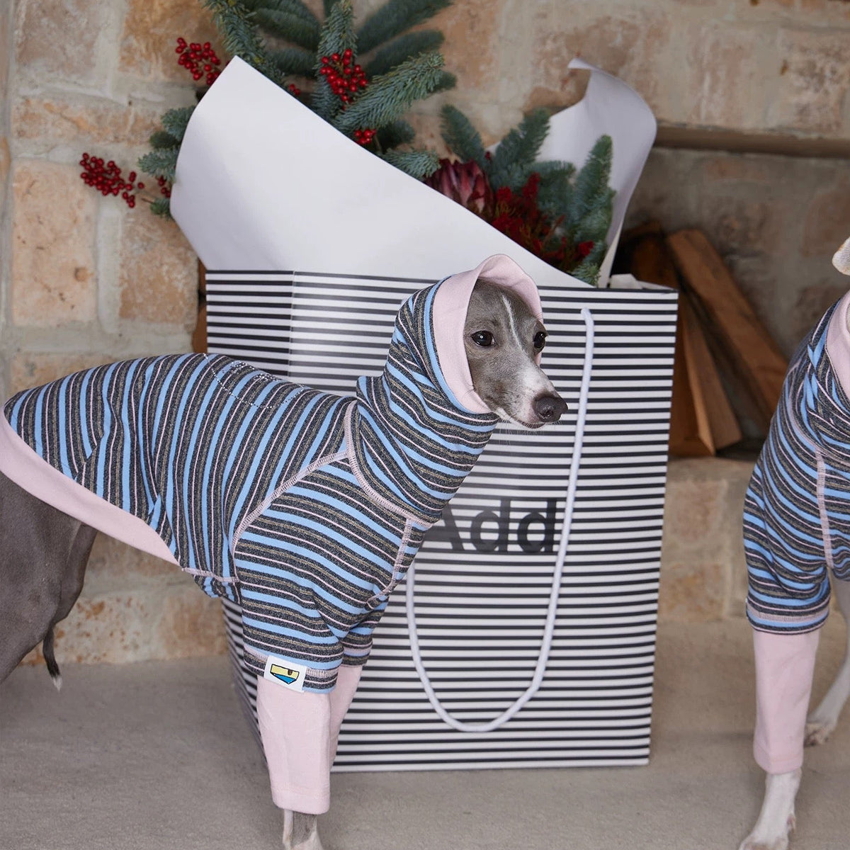 SnugLines Fleece Hoodie hoodie for dogs