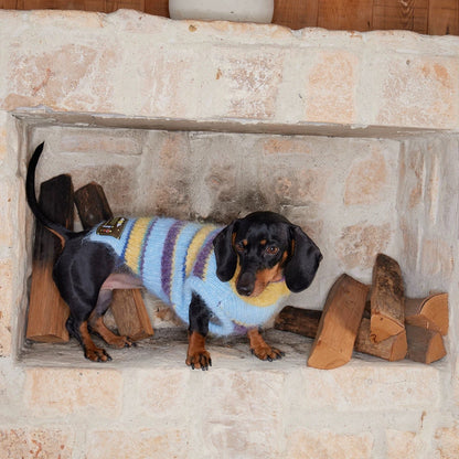 Christmas is a Rainbow Sweater jumper for dogs