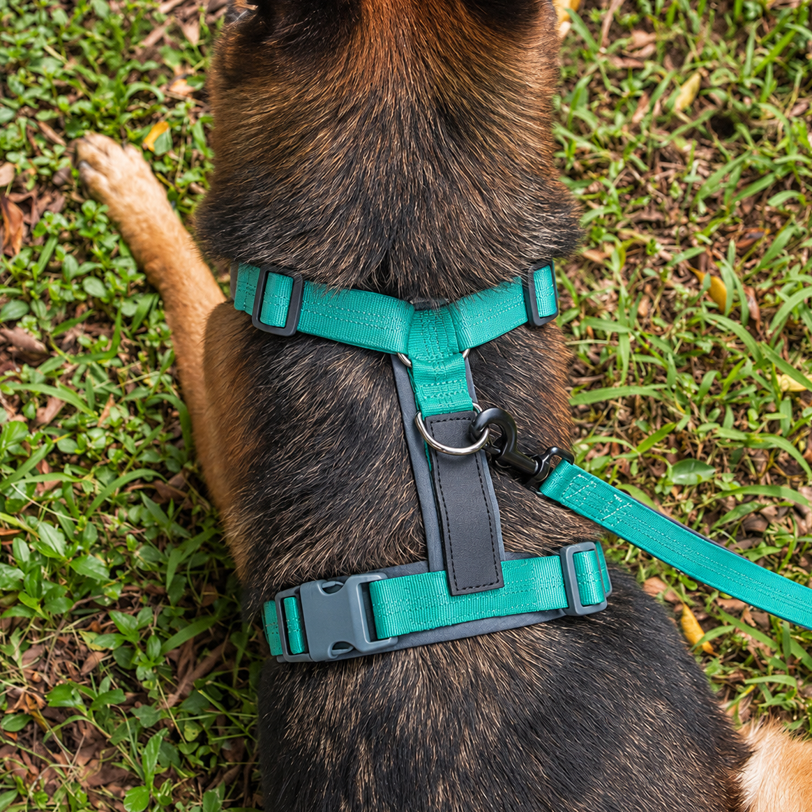 Padded Neoprene Dog Harness - Adjustable, Front and Back Lead Rings, Sizes XS to XL