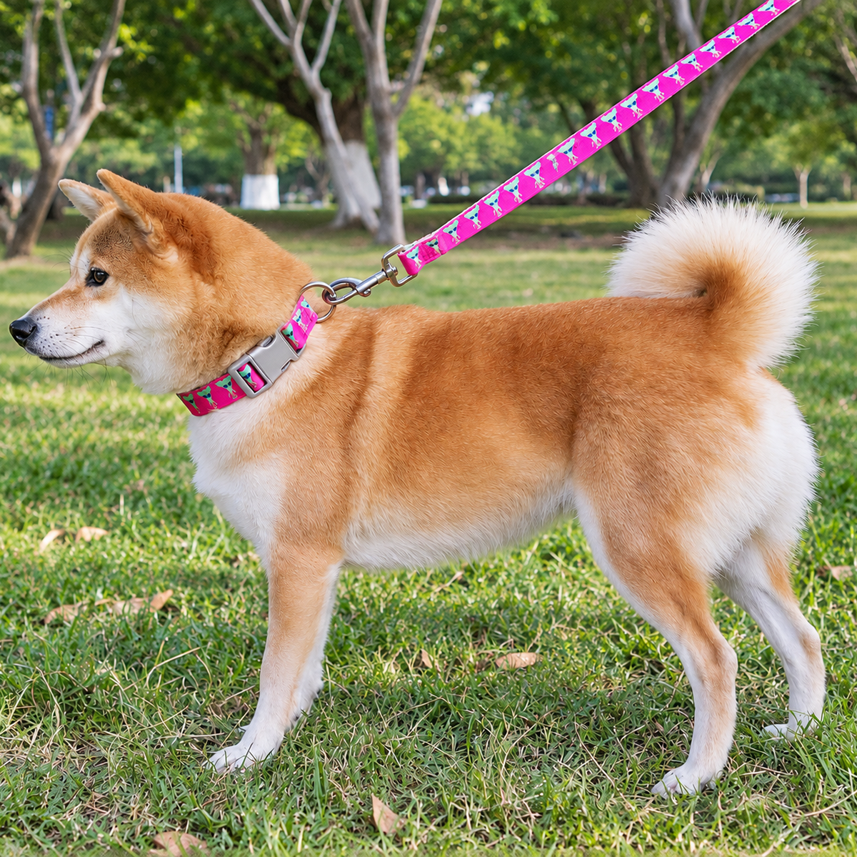 Printed Nylon Dog Collar - Adjustable, Quick-Release Buckle, Six Patterns, Sizes XS to L