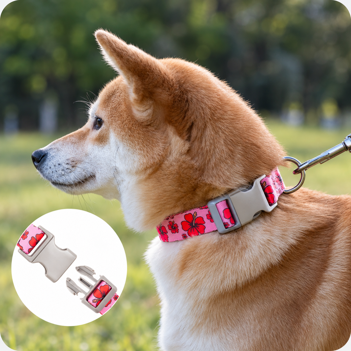 Printed Nylon Dog Collar - Adjustable, Quick-Release Buckle, Six Patterns, Sizes XS to L