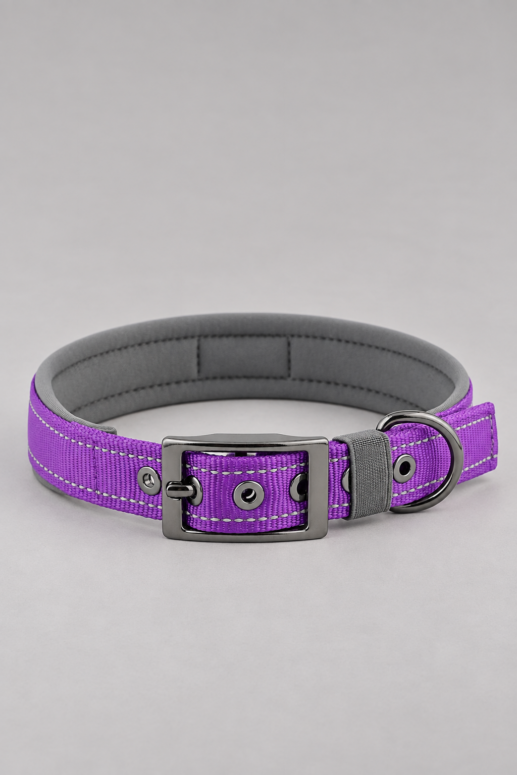 Padded nylon dog collar in Purple