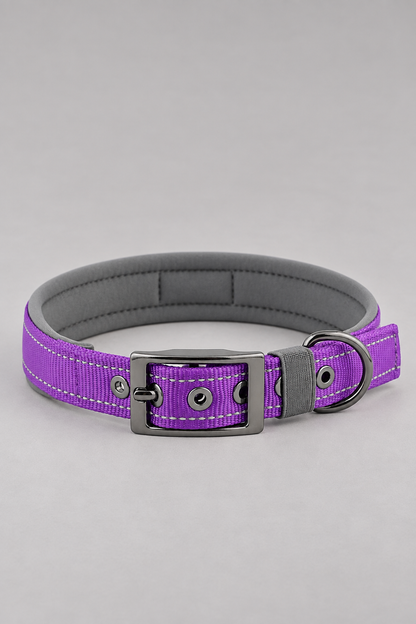 Padded nylon dog collar in Purple