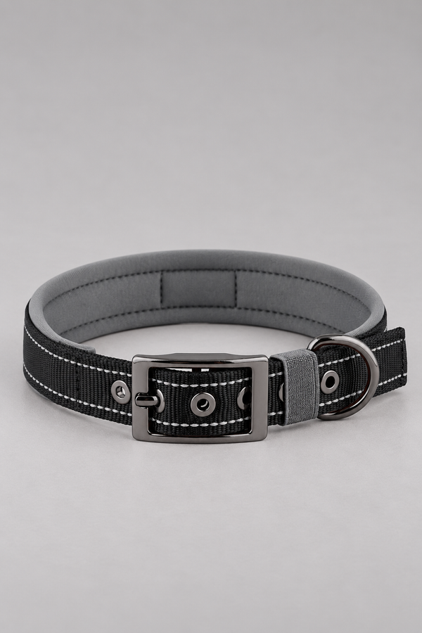 Padded Dog Collar with Metal Buckle – Comfortable Nylon Collar, 10 Colours