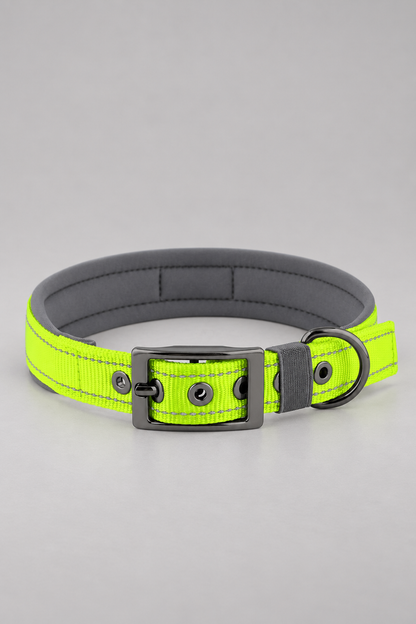 Padded nylon dog collar in Mint
