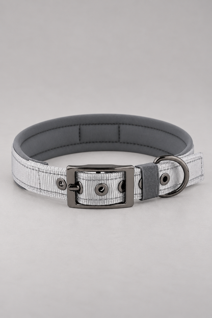 Padded nylon dog collar in Grey