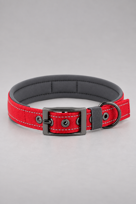 Padded nylon dog collar in Red
