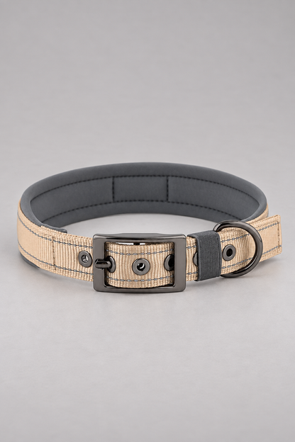 Padded nylon dog collar in Beige