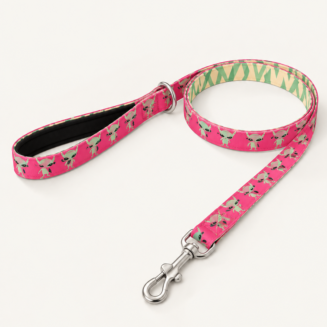 Printed Nylon Dog Lead - 152cm with Padded Handle and D-Ring, Six Patterns, 2 Widths