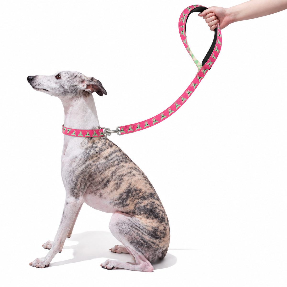 Printed Nylon Dog Lead - 152cm with Padded Handle and D-Ring, Six Patterns, 2 Widths